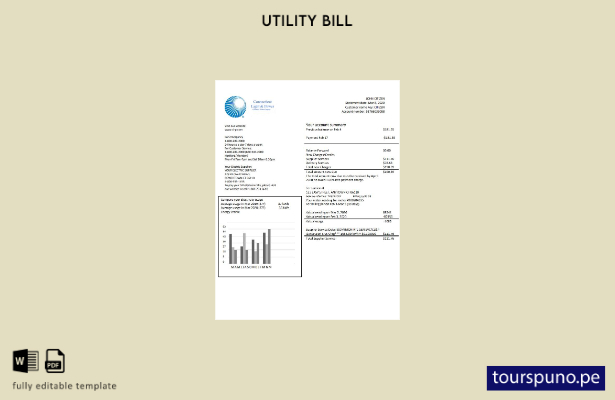 lista para imprimir plantilla de factura de servicios públicos de electricida 14